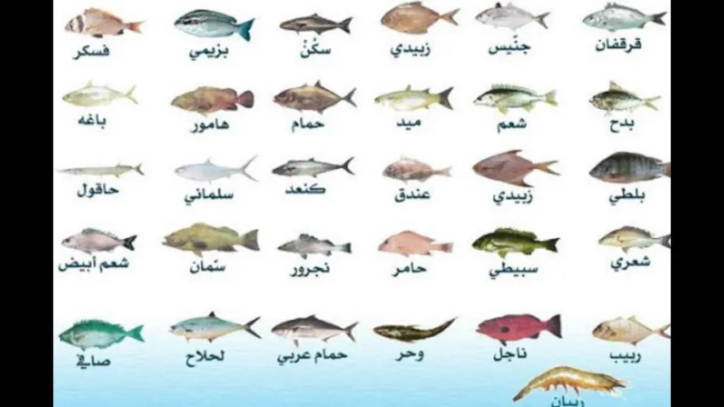 افضل 5 انواع سمك للقلي في السعودية والإمارات