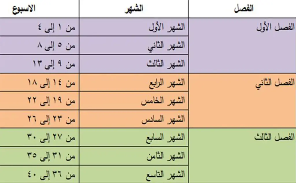 في اي اسبوع يبدأ الشهر التاسع من الحمل