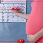 في اي اسبوع يبدأ الشهر التاسع من الحمل