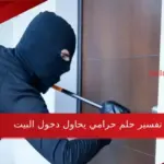 تفسير حلم حرامي يحاول دخول البيت في المنام