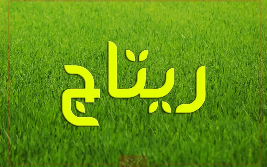 دلع اسم ريتاج وصفات حاملة الاسم