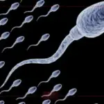 حيوانات زوجي صفر وحملت طبيعي