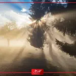 تفسير حلم سماع صوت الله في المنام ما دلالته لإبن سيرين