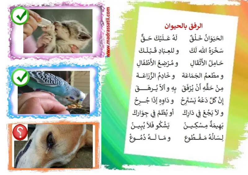 عبارات عن الرفق بالحيوان 10 عبارات أجمل ما قيل عن الرفق بالحيوانات