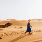 التركي وش يرجعون .. شجرة عائلة التركي