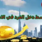 كم يبلغ متوسط دخل الفرد في الإمارات
