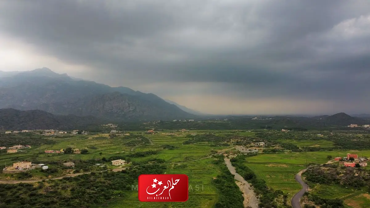 الرمز البريدي العارضه والأحياء التابعة لها 2024