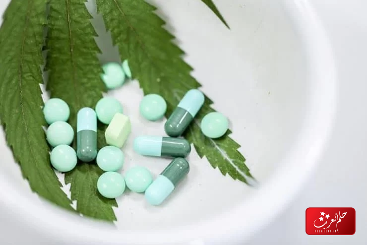 أسرع 5 طرق تنظيف البول من الحشيش في اسرع وقت