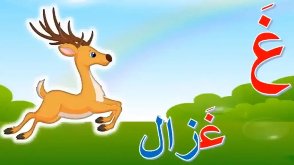 إسم فاكهة بحرف غ ، فواكه تبدأ بحرف الغين