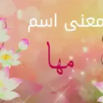 تفسير حلم اسم مها في المنام لابن سيرين وأبرز دلالاته