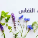 أفضل اعشاب النفاس من العطار .. قائمة بكل ماتحتاجه النفاس في الاربعين