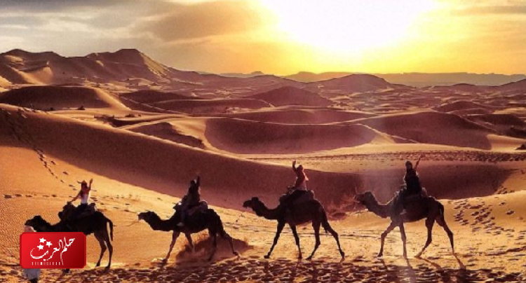 الجعيد وش يرجع .. عائلة الجعيد من أي بلد