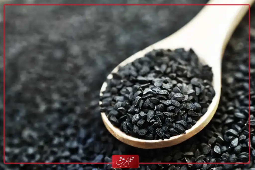 تجربتي مع الحبة السوداء للحمل السريع فوائدها واضرارها