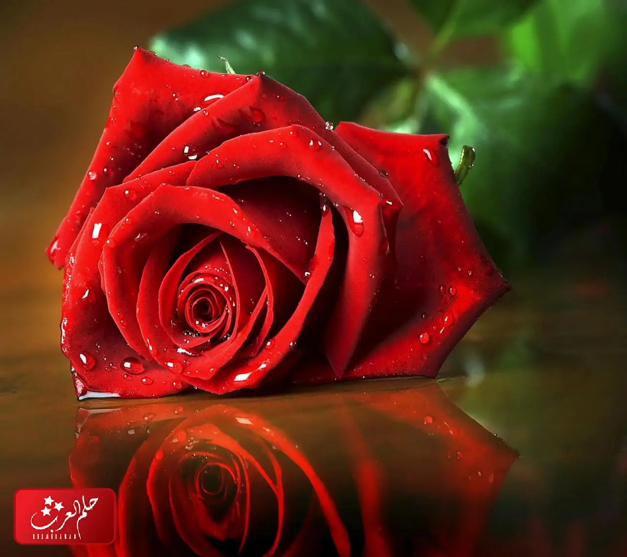 الرد على يسعد صباحك اذا احد قال صباحك انا ايش ارد عليه