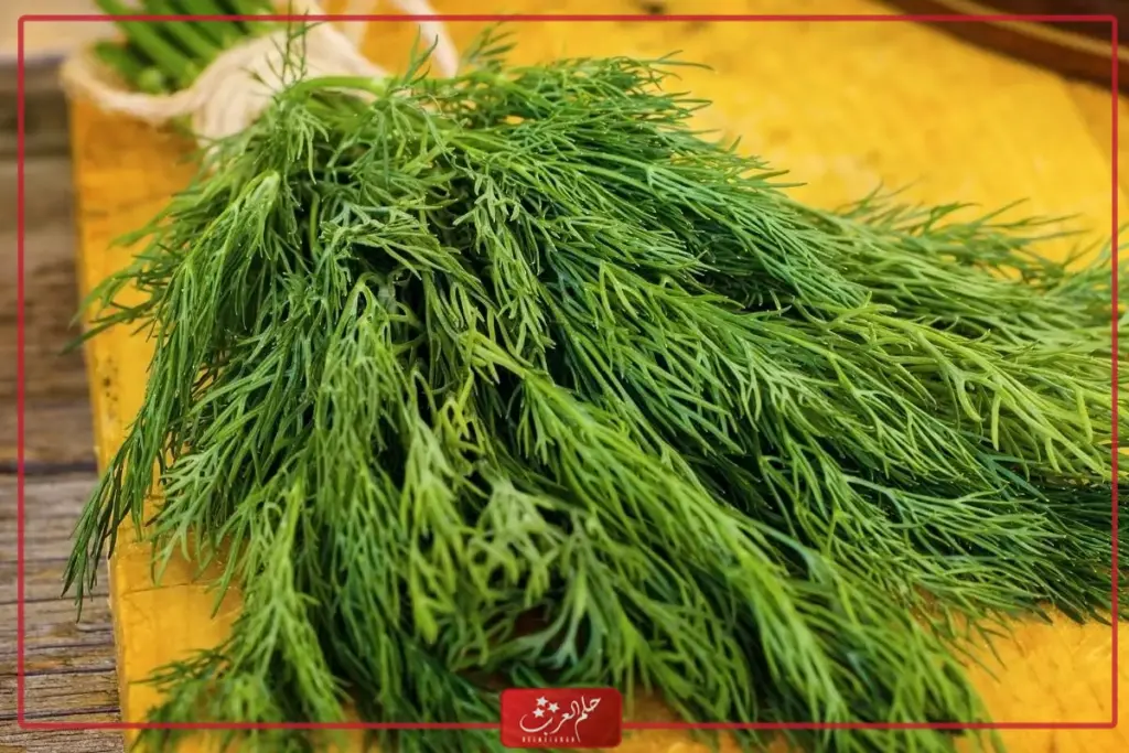 علاج رائحة الغازات الكريهة بالاعشاب من العطار