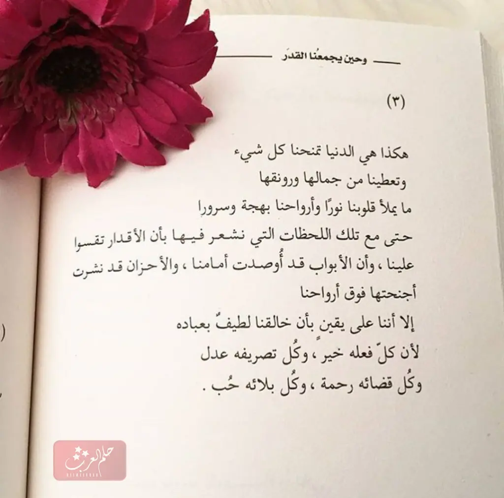 عبارات عن السعادة والتفاؤل مكتوبة 2023
