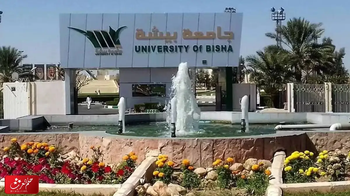قائمة تخصصات جامعة بيشة 1445 وبرز شروط التسجيل والأوراق المطلوبة