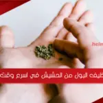 أسرع 5 طرق تنظيف البول من الحشيش في اسرع وقت