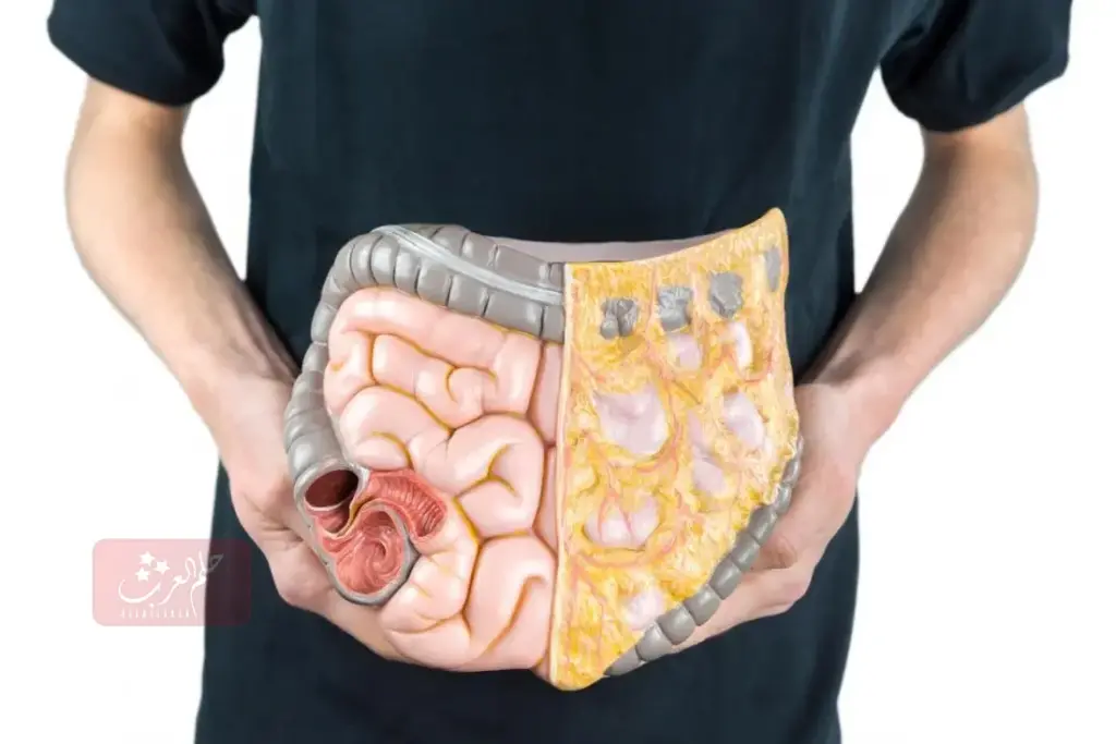 تجربتي مع حبوب dulcolax