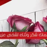 كلمات شكر وثناء لشخص عزيز مكتوبة بالصور