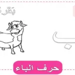 اسم حيوان بحرف ب 5 حيوانات بحرف الباء