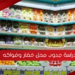 دراسة جدوى محل خضار وفواكه 2023