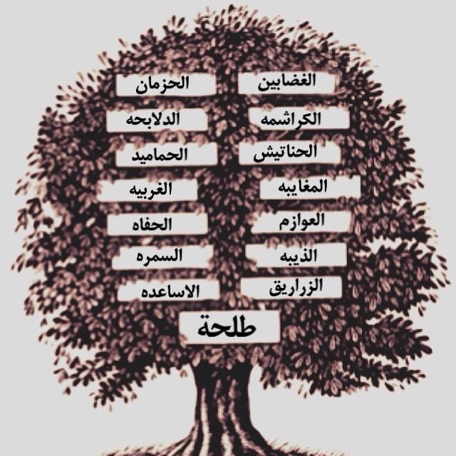 الطلحي وش يرجع وهل الطلحي من هذيل