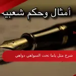 شرح مثل ياما تحت السواهي دواهي بالتفصيل