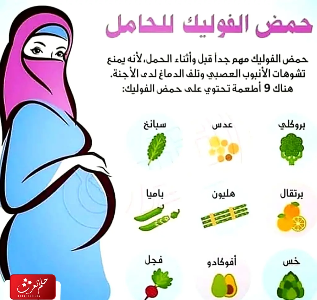 حمض الفوليك للحامل 5 ملجم كم مرة باليوم