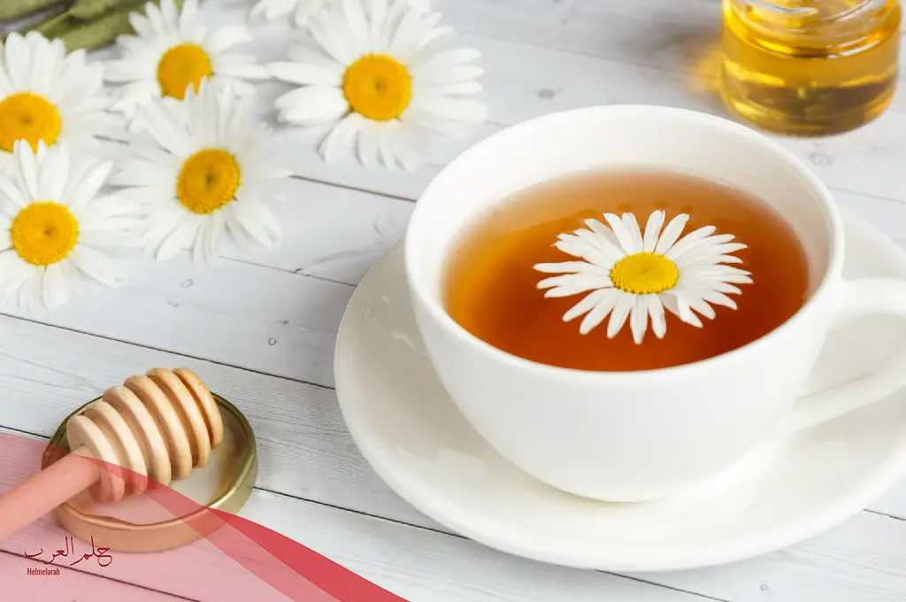 تجربتي مع شرب البابونج يوميًا وأبرز 3 فوائد مدهشة