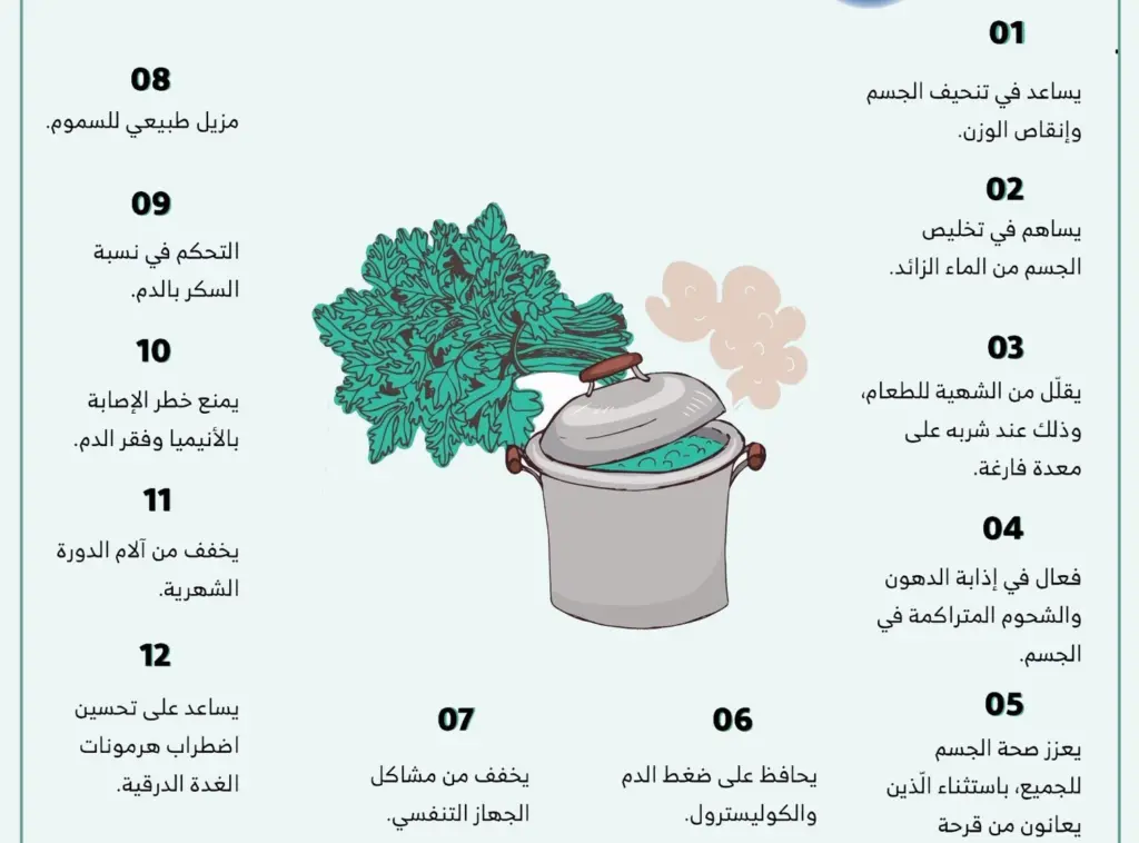 تجربتي مع البقدونس للكلى