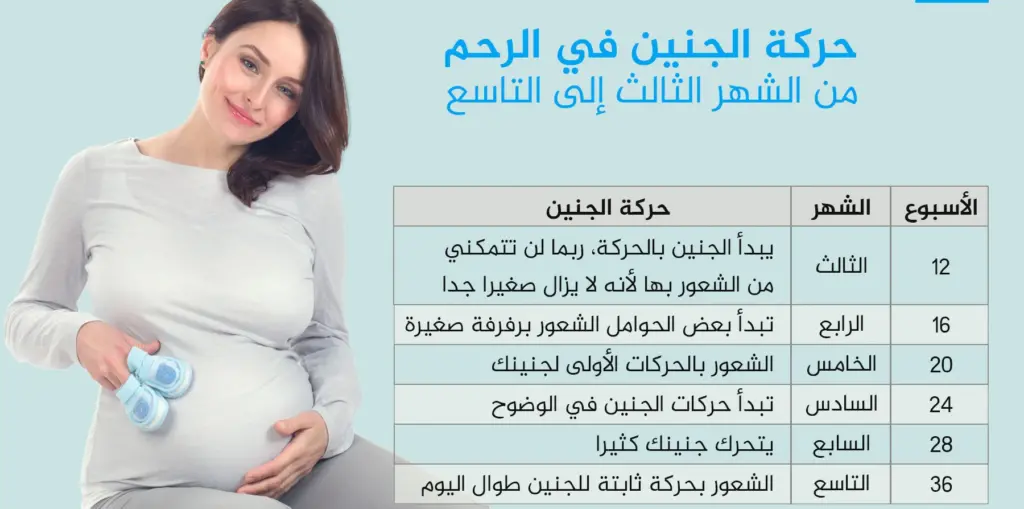 كيف اعرف ان الجنين بخير .. 3 علامات تدل على أن الجنين بخير