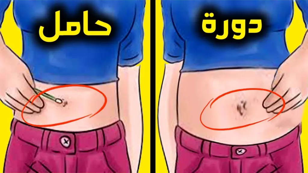 نبض السرة والحمل على ماذا يدل