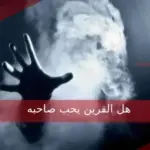 هل القرين يحب صاحبه وعلامات حب القرين
