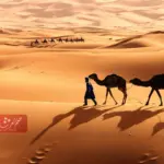 المقاطي وش يرجع .. شجرة قبيلة المقاطي