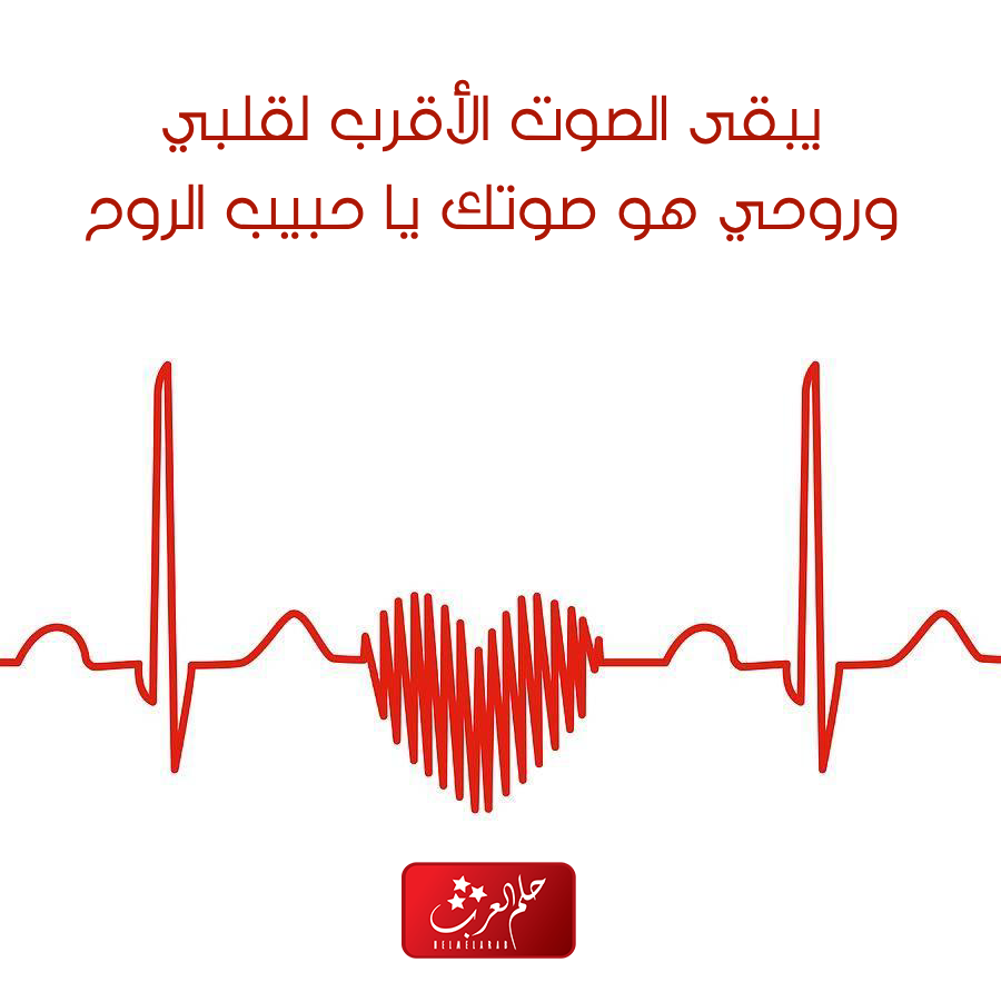 كلام عن صوت الحبيب