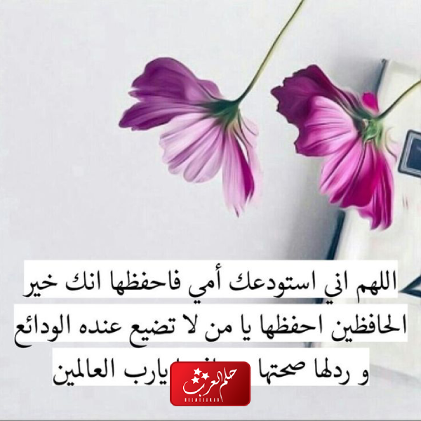 دعاء ربي احفظ لي من احب