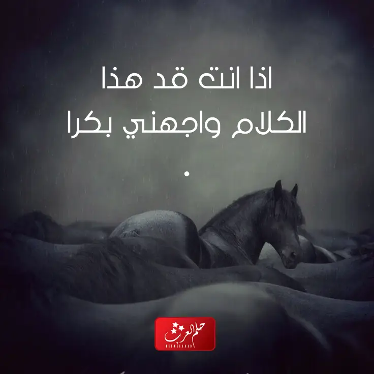 معنى اعلى مافي خيلك اركبه واقوى رد على أعلى مافي خيلك اركبه