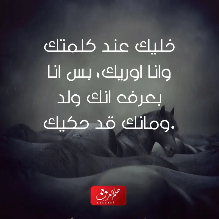 معنى اعلى مافي خيلك اركبه واقوى رد على أعلى مافي خيلك اركبه