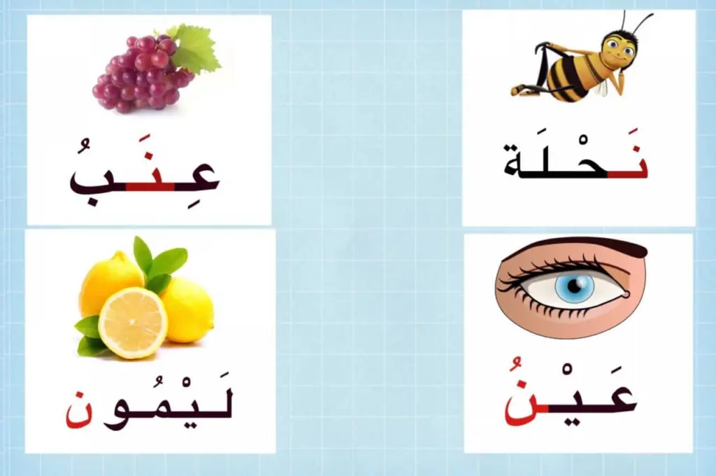 إسم حيوان بحرف ن .. أسماء حيوانات بحرف النون