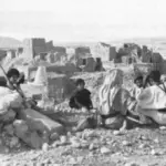 الثمالي وش يرجع ومعلومات عن عيرة الثمالي