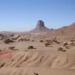 الجاسر وش يرجعون