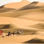 الجبلي وش يرجع .. نسبهم وأصلهم وأماكن تواجدهم