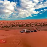 الراجحي وش يرجعون له