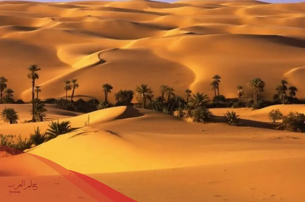 تفسير حلم الصحراء في المنام لابن سيرين للعزباء