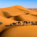 العوني وش يرجع .. أصل عائلة العوني من أي قبيلة