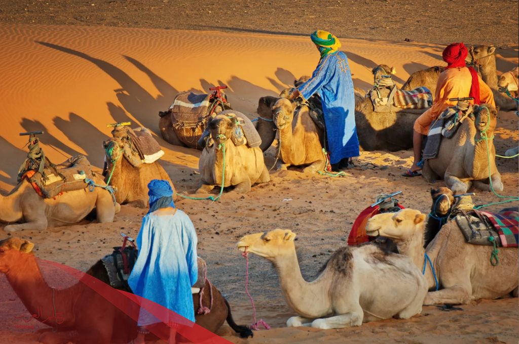 الفهيد وش يرجعون، عائلة الفهيد من وين