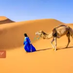 المسعري وش يرجعون .. شجرة عائلة المساعرة