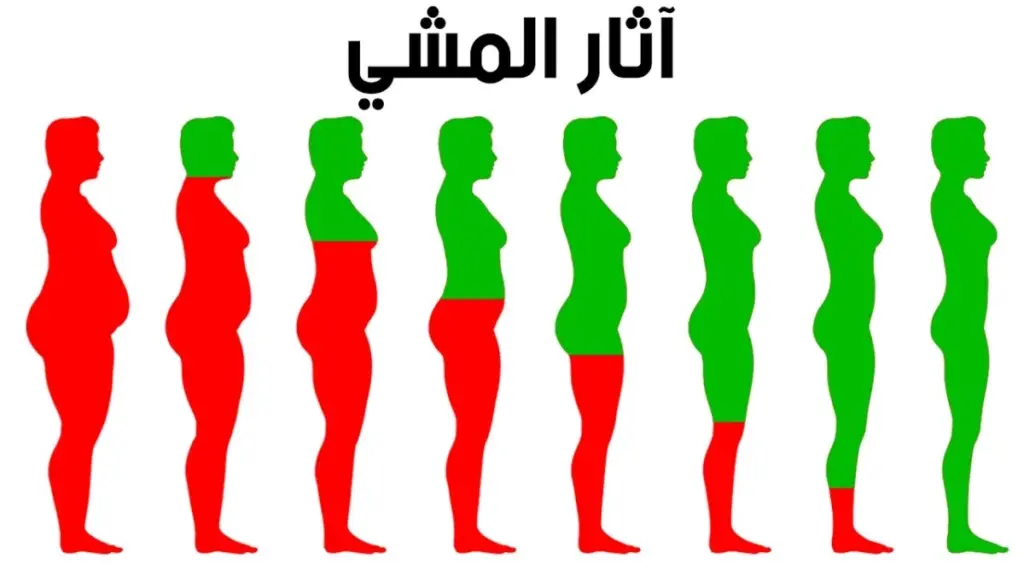 تجربتي مع المشي ساعتين يوميا بدون رجيم