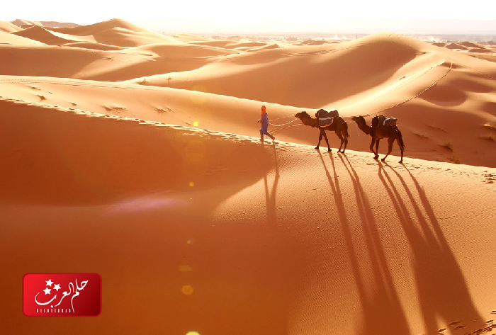 النفيعي وش يرجع ، أصل النفيعي من اي بلد